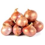 Onion LC KG